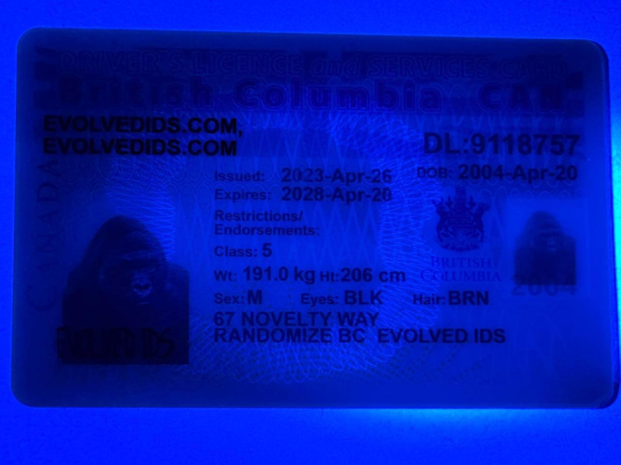 BC UV