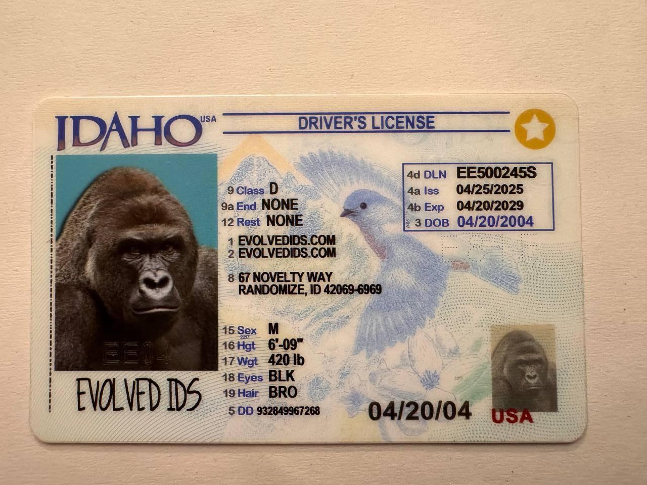 ID_FRONT (1)
