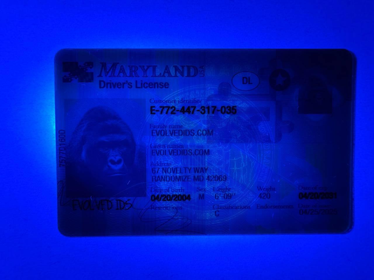 MD UV