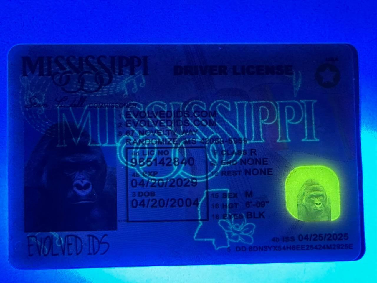 MS UV