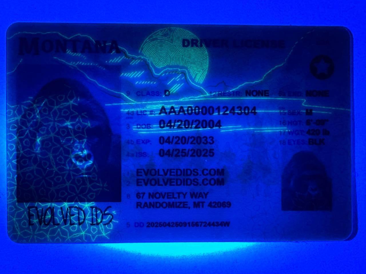 MT UV