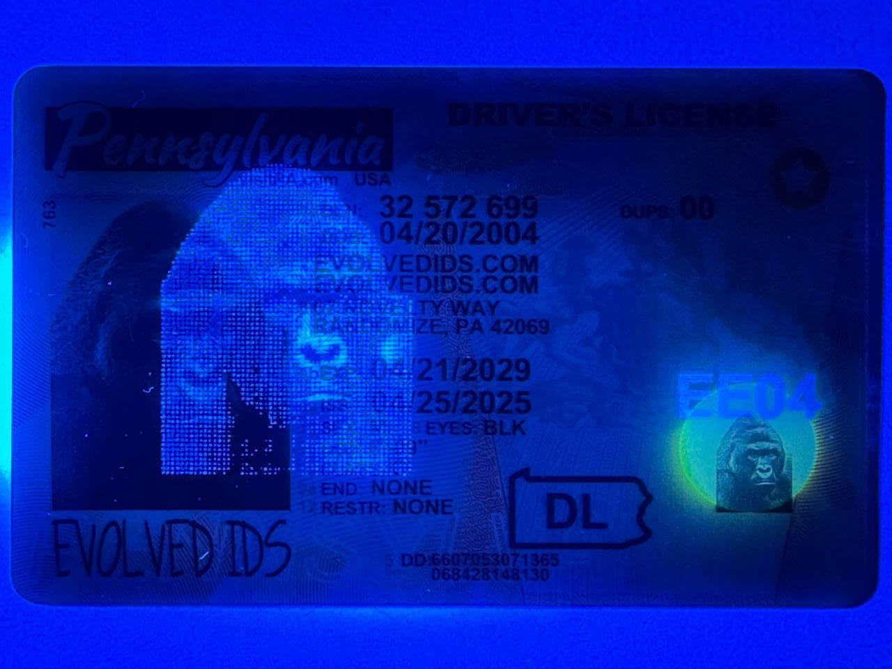PA UV