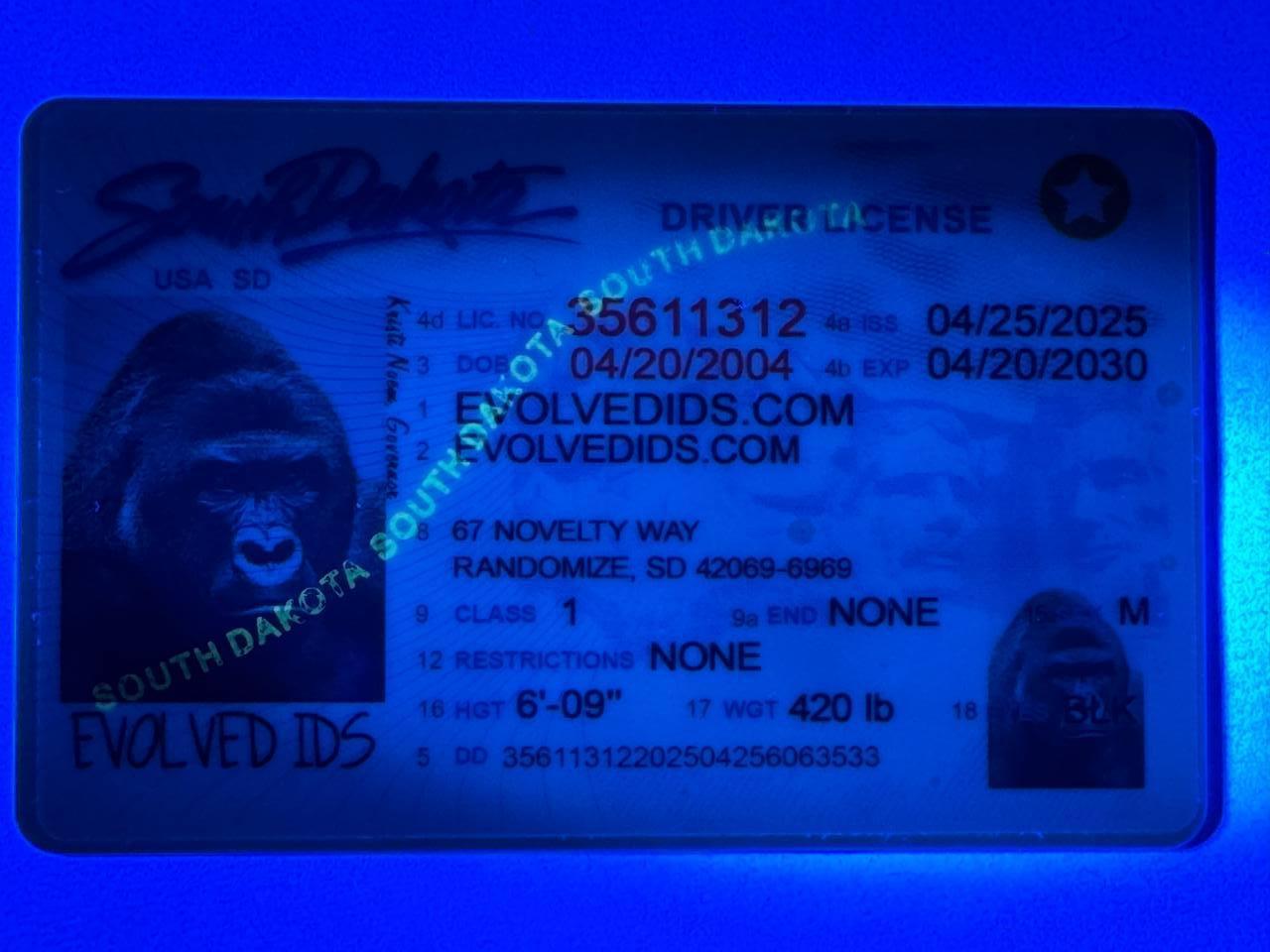 SD UV