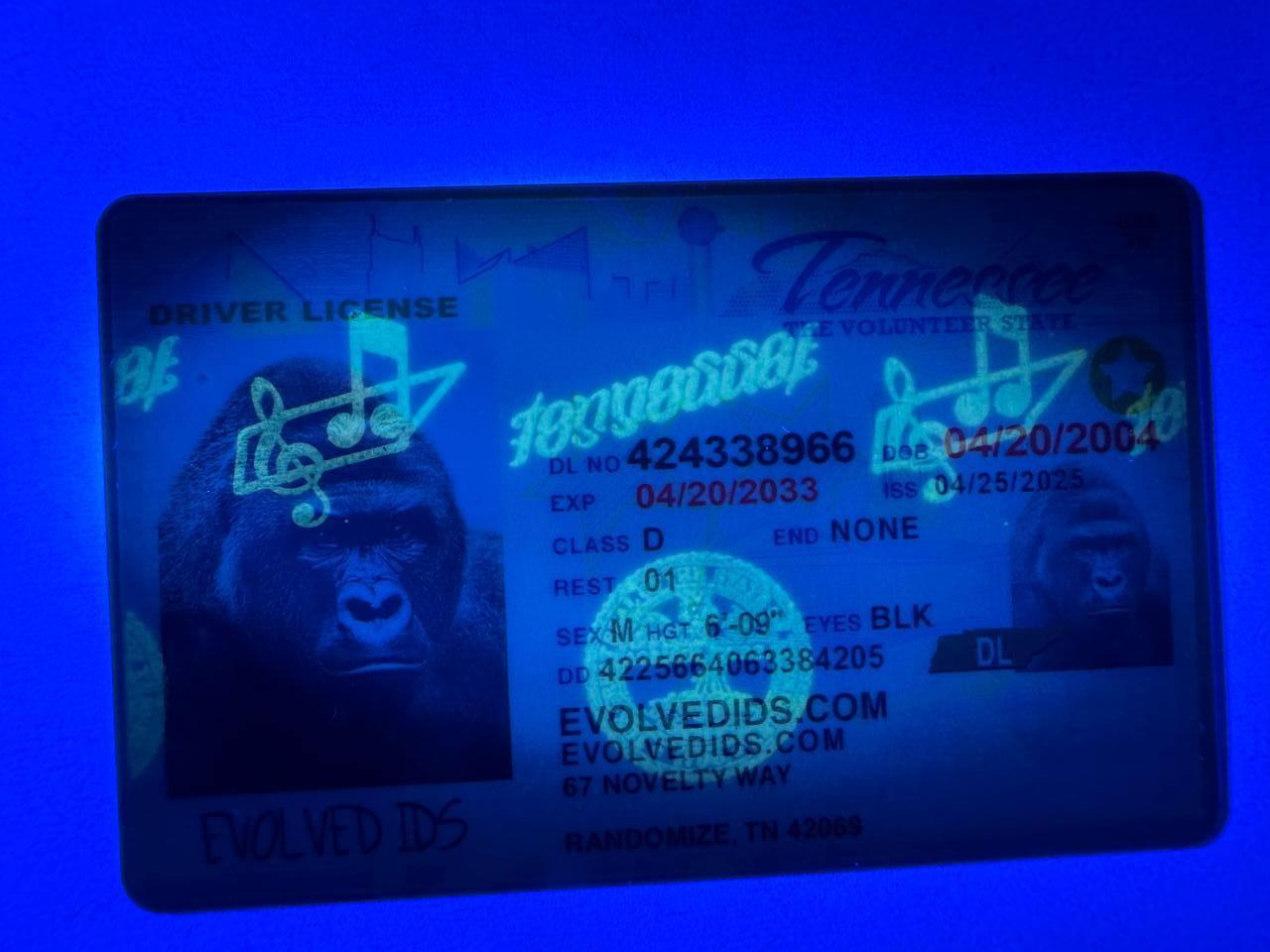 TN UV