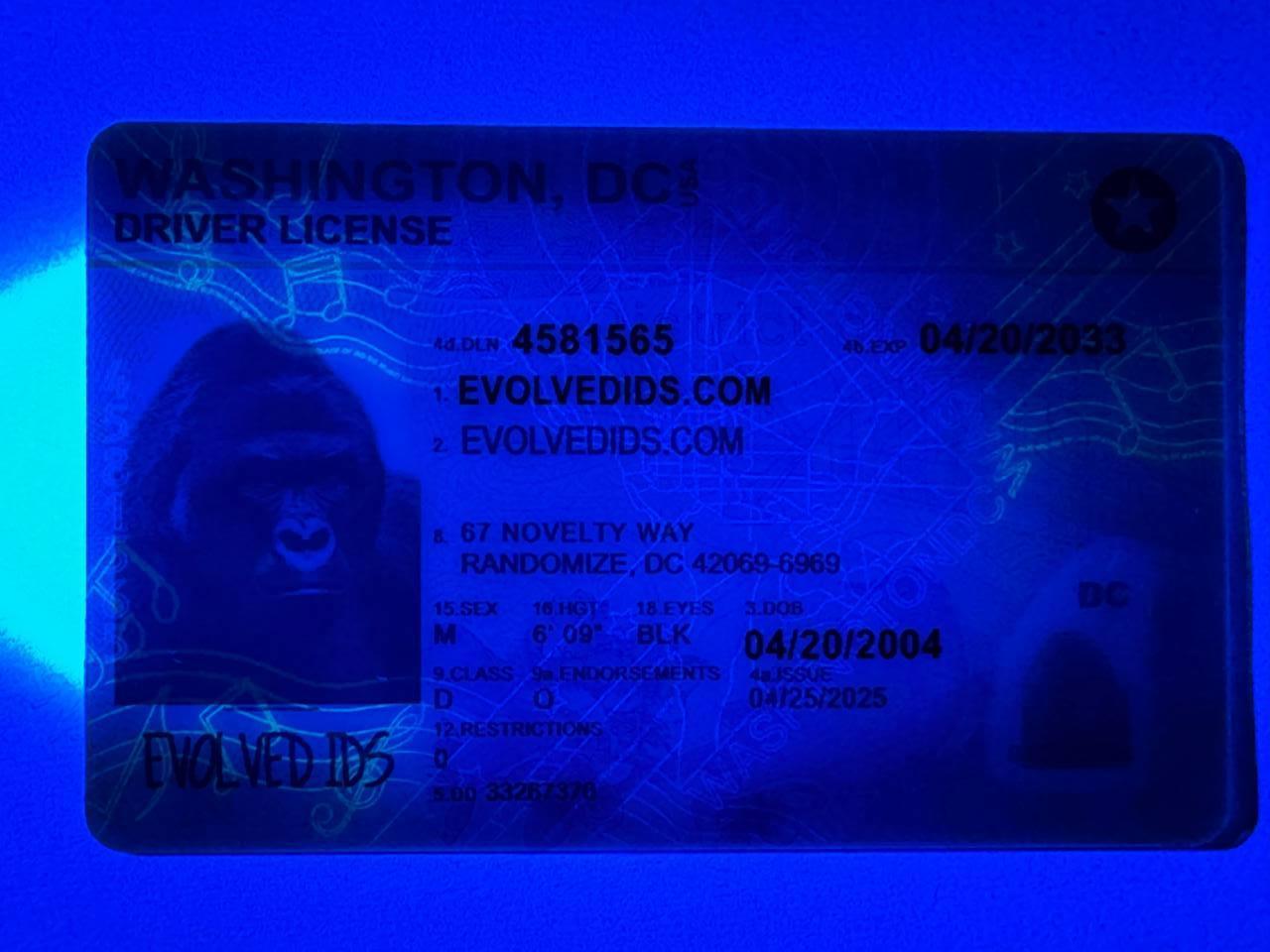 WADC UV
